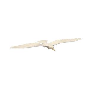 白鸟3d模型