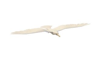 白鸟3d模型