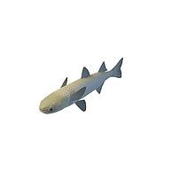 鲫鱼3D模型3d模型