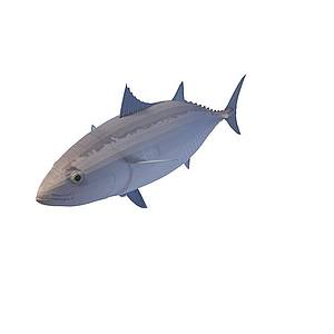 蓝鱼3d模型