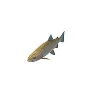 石斑鱼3D模型3d模型