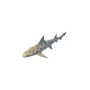 斑点鱼3d模型