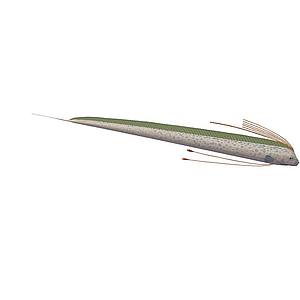 白玉凤凰鱼3d模型