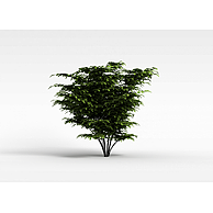 园林景观树3D模型3d模型