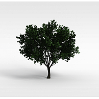 绿树3D模型3d模型
