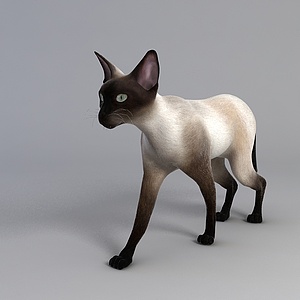 小猫玩具3d模型