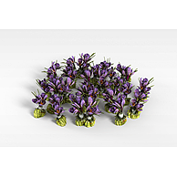 紫色园艺花朵3D模型3d模型