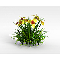 三瓣黄色花卉3D模型3d模型