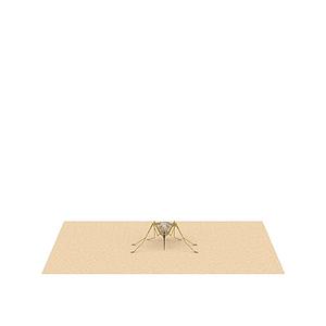蚊子3d模型