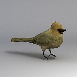 小鸟3d模型