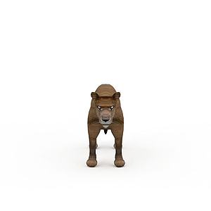 母狮3d模型