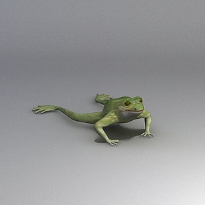 黑斑蛙3d模型