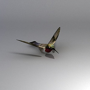 小鸟3d模型