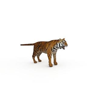 野生老虎3d模型