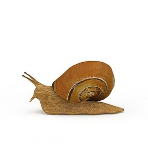 蜗牛3d模型