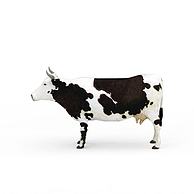 荷兰牛3D模型3d模型
