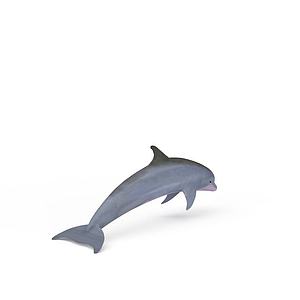 白鳍豚3d模型