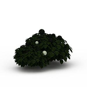 灌木绿丛3d模型
