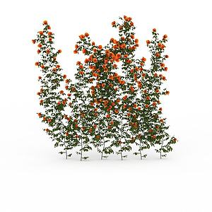 公园藤蔓花卉3d模型