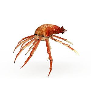动物螃蟹海蟹3d模型