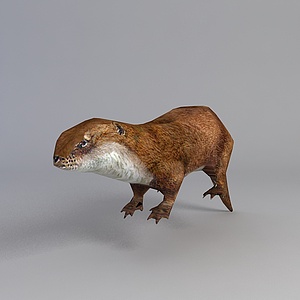 鼬鼠3d模型