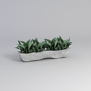 室内盆栽3d模型