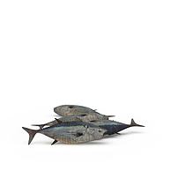 深水鱼3D模型3d模型