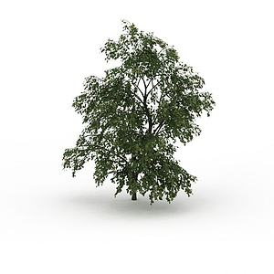 绿色树木3d模型