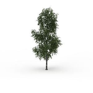细叶景观树3d模型