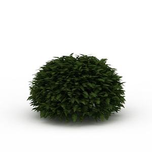 球形灌木3d模型