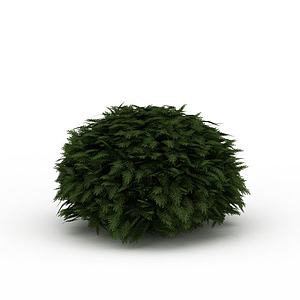 球形灌木景观3d模型