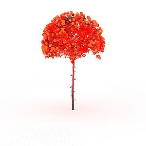 红色景观树3d模型