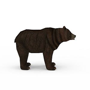 棕熊3d模型