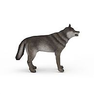灰狼3D模型3d模型