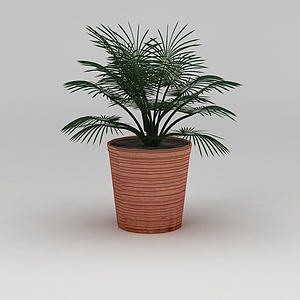 盆栽盆景植物3d模型