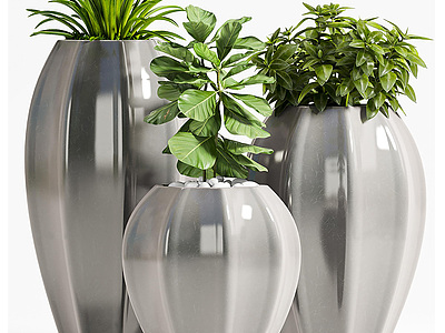 室内绿植盆栽3d模型