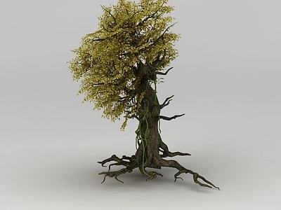 胡杨树3d模型3d模型
