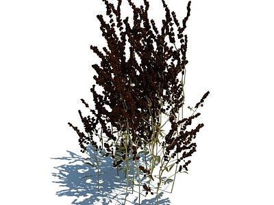 植物3d模型3d模型