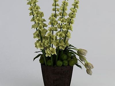 装饰植物3d模型3d模型