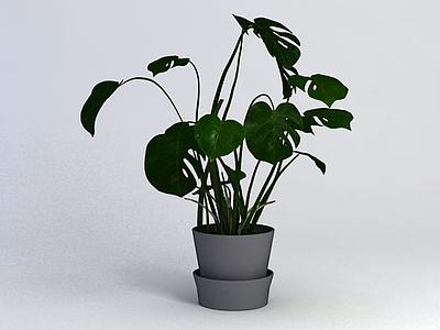 绿萝植物3d模型3d模型