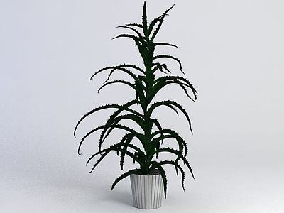 植物3d模型3d模型