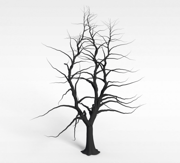 冬天的树3d模型