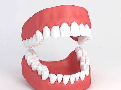 牙齿3d模型3d模型