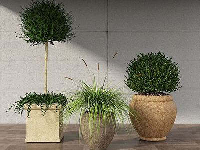 植物盆栽3d模型3d模型
