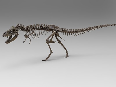 霸王龙骨骼3d模型3d模型