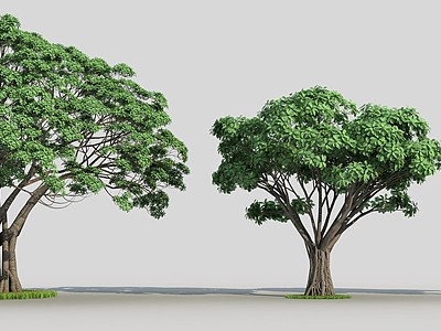 现代榕树3d模型3d模型