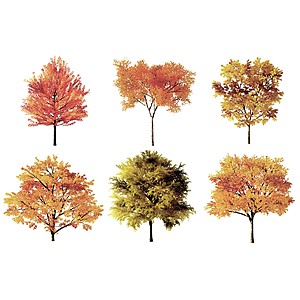 秋天树3d模型