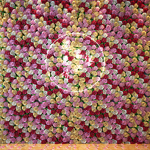现代玫瑰花墙3d模型