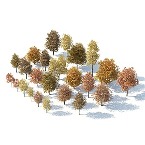 现代秋季植物组合3d模型
