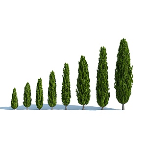现代灌木花园植物园林植物3d模型